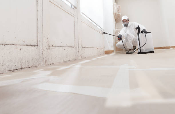 24/7 Emergency Basement Mold Remediation experts in Fulton, KY